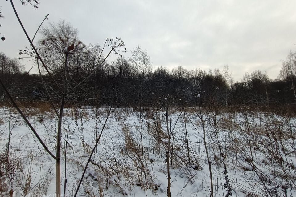 земля городской округ Переславль-Залесский, СТ Болшево фото 5