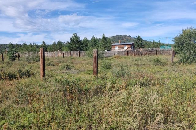 2-й квартал, Тарбагатайский район, садовые участки Багульник фото