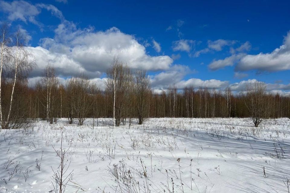 земля р-н Благовещенский с Новотроицкое ул Юбилейная фото 3