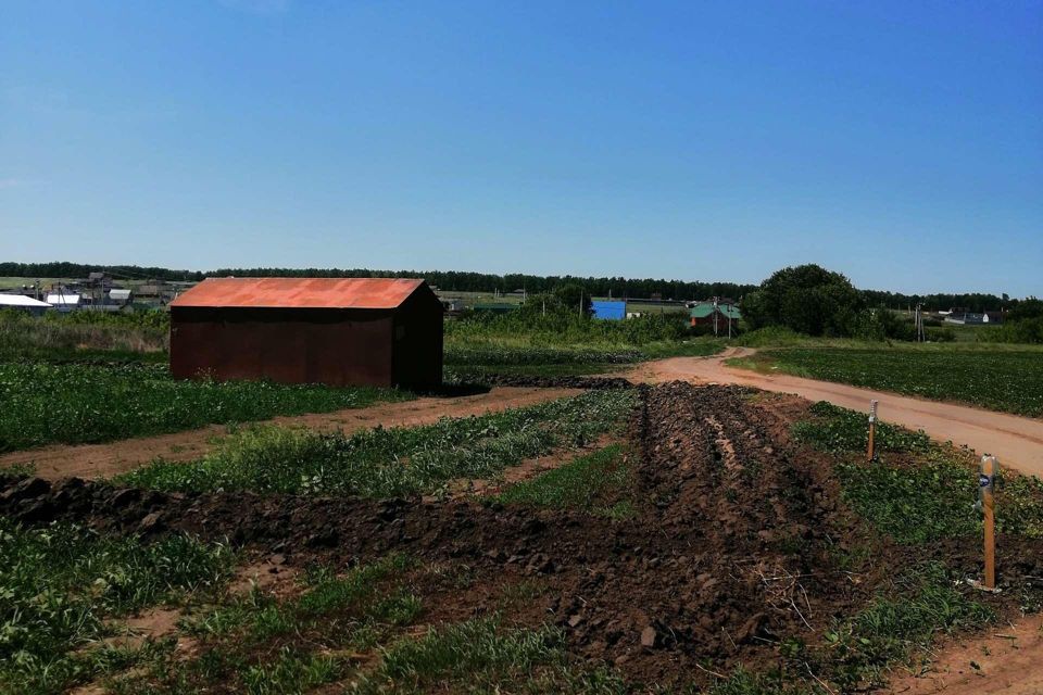 земля р-н Семилукский Девицкое сельское поселение фото 5