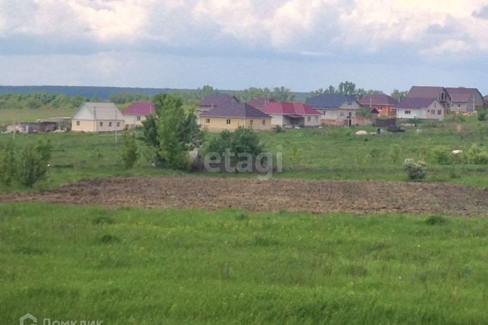 земля р-н Корочанский село Дальняя Игуменка фото 1
