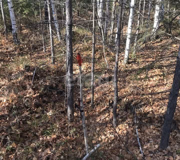 земля г Ревда с Кунгурка ул Благославная городской округ Ревда фото 1