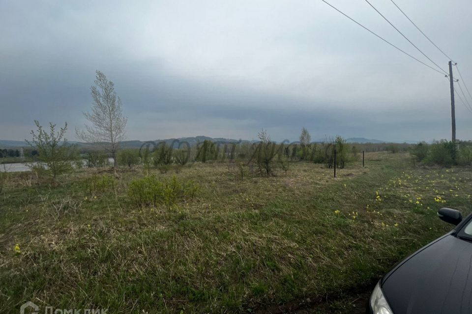 земля р-н Алтайский с Ая территория Пограничное фото 5
