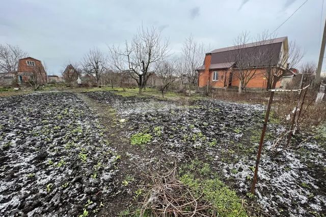 п Широчанка садовое товарищество Авиатор фото