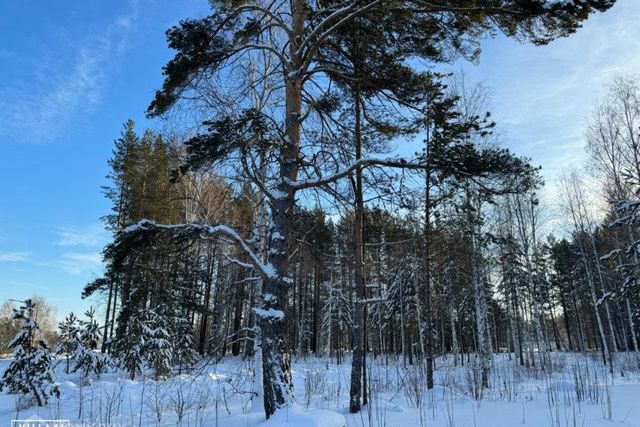 коттеджный посёлок Заповедник, квартал Малахит, 21 фото