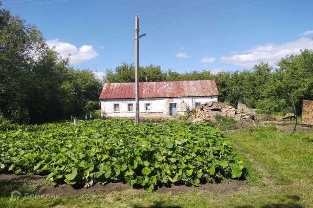 село Донское 1-е фото