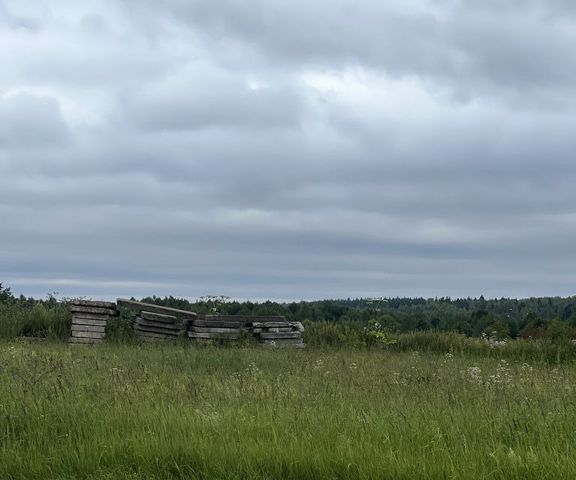 деревня Василёво фото