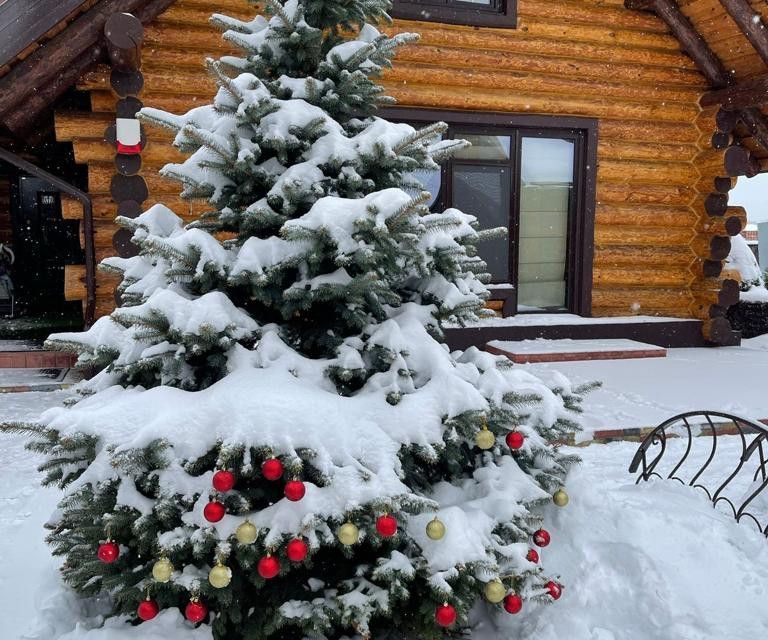 дом г Уфа с Нагаево ул Цветочная 2 городской округ Уфа фото 2