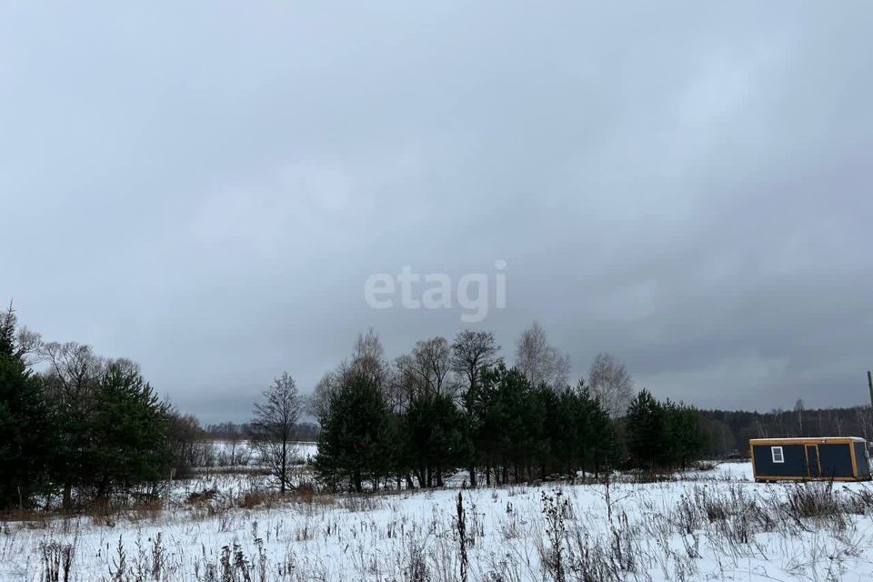 земля г Домодедово д Голубино ул Аллейная городской округ Домодедово фото 6